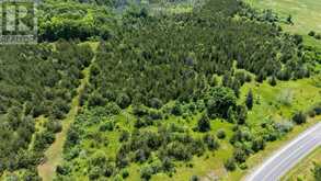 BETWEEN 72 & 337 COUNTY 24 ROAD | Hillier Ontario | Slide Image Ten