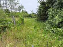 BETWEEN 72 & 337 COUNTY 24 ROAD | Hillier Ontario | Slide Image Twelve