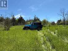 BETWEEN 72 & 337 COUNTY 24 ROAD | Hillier Ontario | Slide Image Fifteen