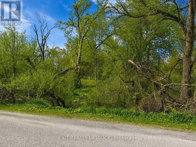 0 MAPLE RIDGE DRIVE Kawartha Lakes Ontario, K0L 2W0 - Vacant Land For Sale