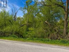 0 MAPLE RIDGE DRIVE Kawartha Lakes Ontario, K0L 2W0