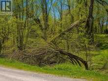 0 MAPLE RIDGE DRIVE | Kawartha Lakes Ontario | Slide Image Three