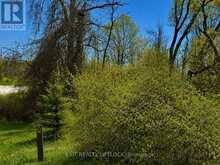 0 MAPLE RIDGE DRIVE | Kawartha Lakes Ontario | Slide Image Four