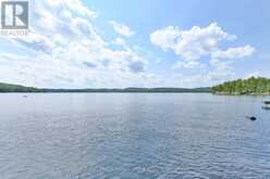 1780 MAZINAW LAKE | Addington Highlands Ontario | Slide Image Thirty-three