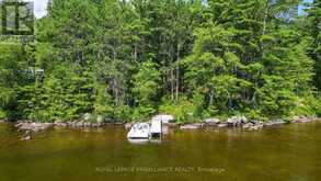1780 MAZINAW LAKE | Addington Highlands Ontario | Slide Image Three