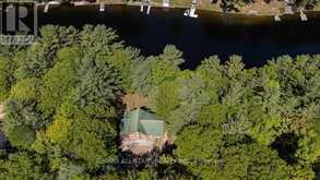 1130 TOWERING OAKS DRIVE | Coboconk Ontario | Slide Image Two