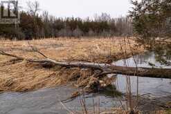 7685 COUNTY 2 ROAD | Greater Napanee Ontario | Slide Image Thirteen