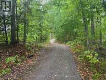 LOT 38 SUMCOT DRIVE | North Kawartha Ontario | Slide Image Three