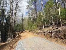 00 HIGHWAY 62 N | Bancroft Ontario | Slide Image Ten