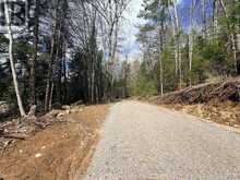 00 HIGHWAY 62 N | Bancroft Ontario | Slide Image Nine