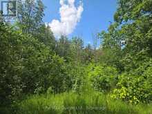 20 THOMPSON ROAD | Madoc Ontario | Slide Image Thirty-seven