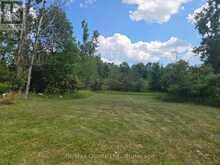 20 THOMPSON ROAD | Madoc Ontario | Slide Image Thirty-six