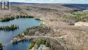 164 TROUT LAKE ROAD | Bancroft Ontario | Slide Image Forty