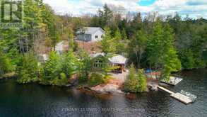 44 FIRE ROUTE 223 | North Kawartha Ontario | Slide Image Two