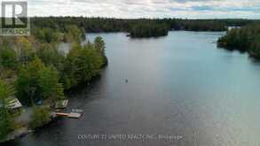 44 FIRE ROUTE 223 | North Kawartha Ontario | Slide Image Three