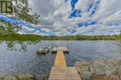 44 FIRE ROUTE 223 | North Kawartha Ontario | Slide Image Six