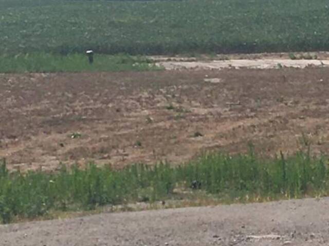 3151 COUNTY RD 2 Otonabee-South Monaghan Ontario, K0L 2G0 - Vacant Land For Sale