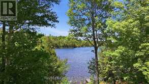 538 SKENE ROAD | Marmora Ontario | Slide Image Five