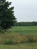 PL17 62 HIGHWAY S | Prince Edward Ontario | Slide Image Five