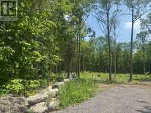 378 STATION ROAD | Marmora Ontario | Slide Image Five