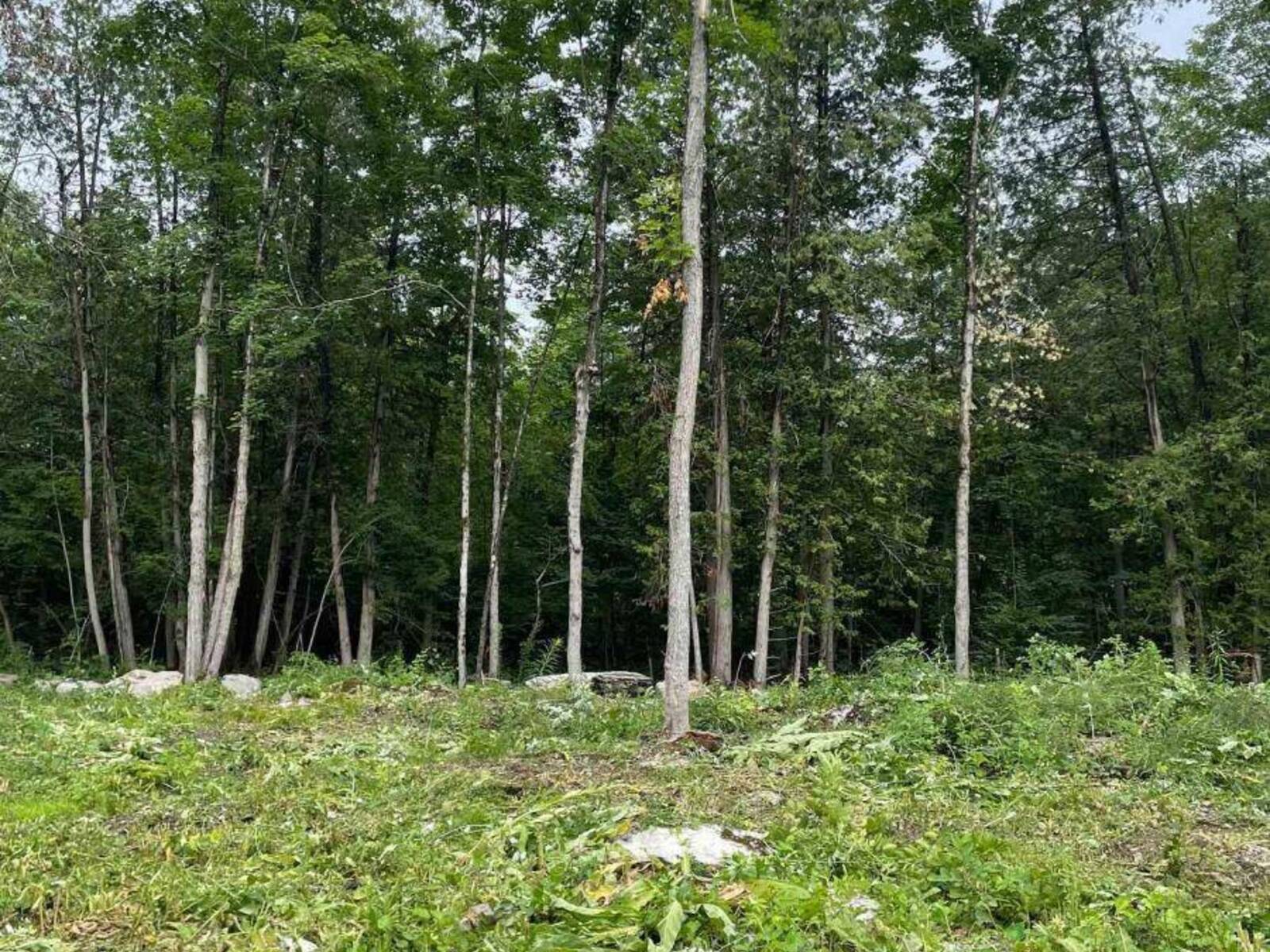 378 STATION ROAD, Marmora, Ontario K0K 2M0