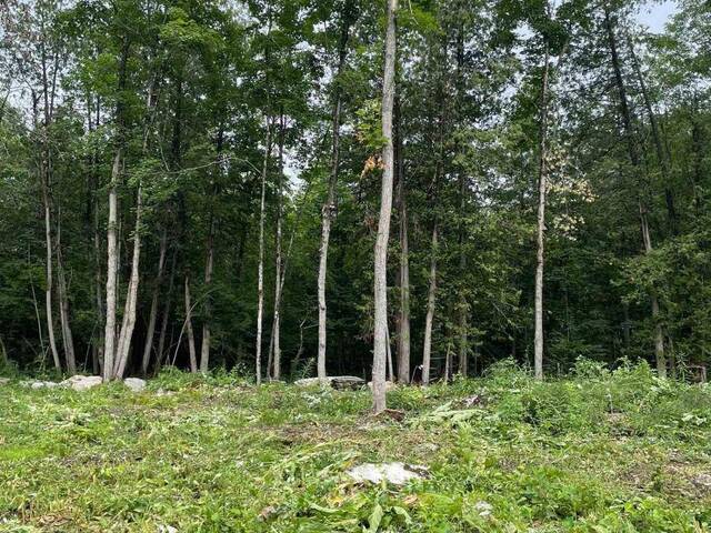 378 STATION ROAD Marmora Ontario, K0K 2M0 - Vacant Land For Sale