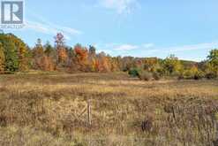 14794 HWY 62 HIGHWAY | Madoc Ontario | Slide Image Two