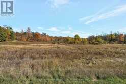 14794 HWY 62 HIGHWAY | Madoc Ontario | Slide Image Seventeen