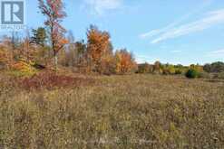 14794 HWY 62 HIGHWAY | Madoc Ontario | Slide Image Nineteen