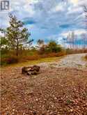 384 MATAWATCHAN ROAD | Addington Highlands Ontario | Slide Image Thirteen