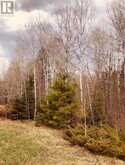 384 MATAWATCHAN ROAD | Addington Highlands Ontario | Slide Image Two