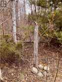 384 MATAWATCHAN ROAD | Addington Highlands Ontario | Slide Image Four