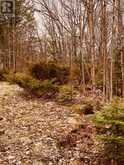 384 MATAWATCHAN ROAD | Addington Highlands Ontario | Slide Image Six