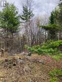 384 MATAWATCHAN ROAD | Addington Highlands Ontario | Slide Image Eight