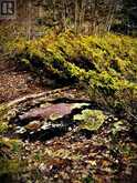 384 MATAWATCHAN ROAD | Addington Highlands Ontario | Slide Image Ten