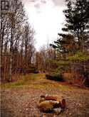 384 MATAWATCHAN ROAD | Addington Highlands Ontario | Slide Image Sixteen