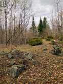 384 MATAWATCHAN ROAD | Addington Highlands Ontario | Slide Image Seven