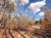 0 WEISMULLER LANE | Bracebridge Ontario | Slide Image Twelve