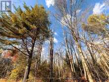 0 WEISMULLER LANE | Bracebridge Ontario | Slide Image Two