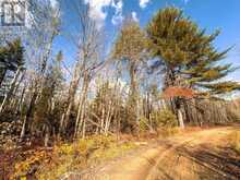 0 WEISMULLER LANE | Bracebridge Ontario | Slide Image Three
