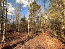 0 WEISMULLER LANE | Bracebridge Ontario | Slide Image Four