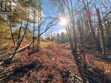 0 WEISMULLER LANE | Bracebridge Ontario | Slide Image Five