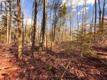 0 WEISMULLER LANE | Bracebridge Ontario | Slide Image Six