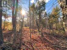 0 WEISMULLER LANE | Bracebridge Ontario | Slide Image Eight