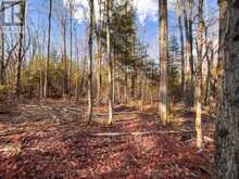0 WEISMULLER LANE | Bracebridge Ontario | Slide Image Nine