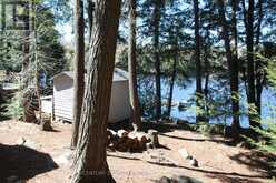 812 ISLAND 8 CATCHACOMA LAKE | North Kawartha Ontario | Slide Image Twelve