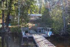 812 ISLAND 8 CATCHACOMA LAKE | North Kawartha Ontario | Slide Image Two