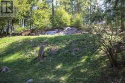 812 ISLAND 8 CATCHACOMA LAKE | North Kawartha Ontario | Slide Image Thirty-nine