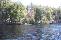 812 ISLAND 8 CATCHACOMA LAKE | North Kawartha Ontario | Slide Image Forty-six