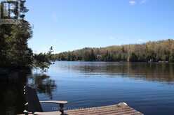 812 ISLAND 8 CATCHACOMA LAKE | North Kawartha Ontario | Slide Image Four